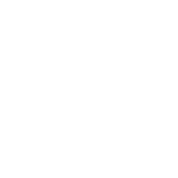 Search icon